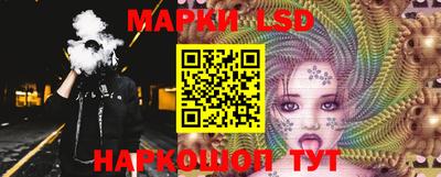 Альфа ПВП Гатчина