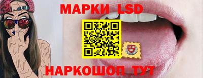 Альфа ПВП Гатчина