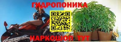 Альфа ПВП Гатчина