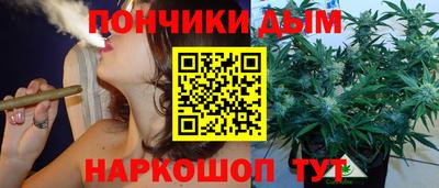 Альфа ПВП Гатчина