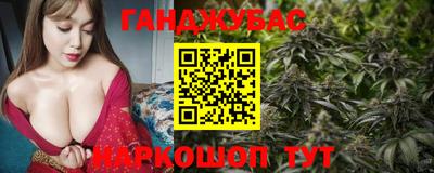 гидра Гай
