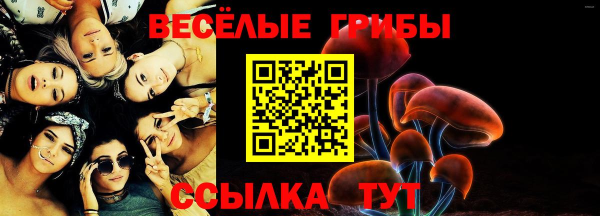 Галлюциногенные грибы прущие грибы  Псилоцибиновые грибы Psilocybe  Вход с VPN  Моздок 