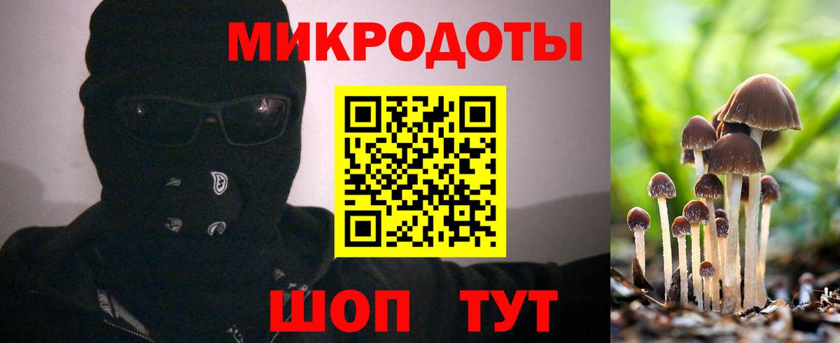 Псилоцибиновые грибы Cubensis Моздок